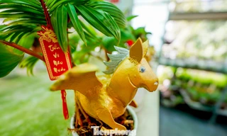 Nông dân TPHCM 'hô biến' dừa khô thành bonsai linh vật ngựa