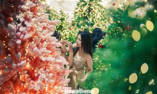 Lạc bước giữa vườn thông phủ tuyết mùa Giáng sinh