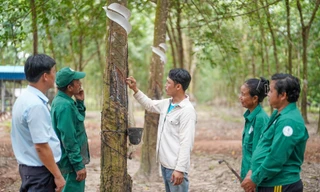 VRG lan tỏa phong trào thi đua yêu nước bằng hành động thiết thực
