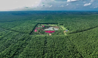 Cao su Chư Sê - Kampong Thom và cuộc chuyển mình mạnh mẽ