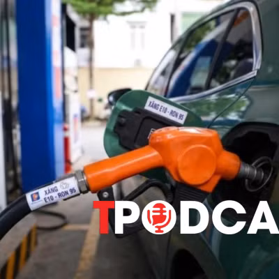 Hiệp hội ô tô và xe máy lên tiếng về việc sử dụng xăng E10 