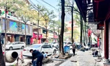Hà Nội gấp rút cải tạo vỉa hè
