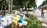 Điểm tập kết rác tự phát trên phố Hà Nội 