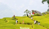 Du khách đổ về Y Tý, đắm chìm với ruộng bậc thang đẹp nhất Tây Bắc