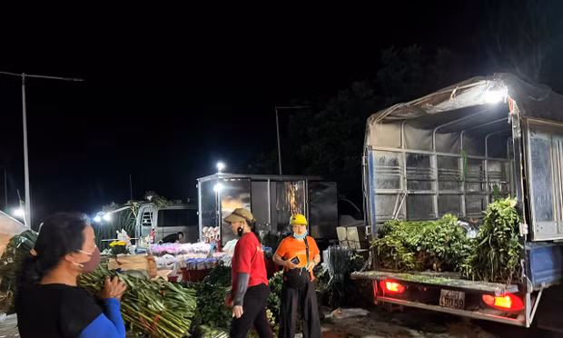 Chủ tịch Hà Nội chỉ đạo kiểm tra chợ hoa khủng hoạt động chui tại phường Kiến Hưng