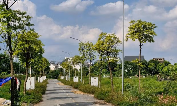 Hà Nội xem xét ban hành chính sách giải quyết dứt điểm vướng mắc về đất dịch vụ