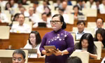 Đại biểu Quốc hội: 'Phân quyền nhưng không buông quyền kiểm soát'