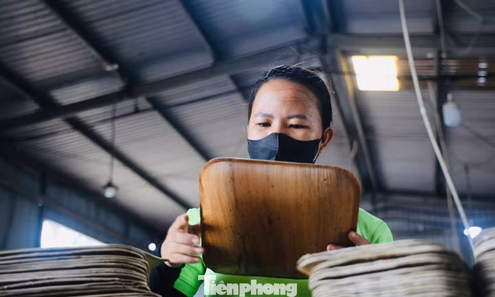 Lá bàng biển của Việt Nam làm thành đĩa, được bán khắp châu Âu