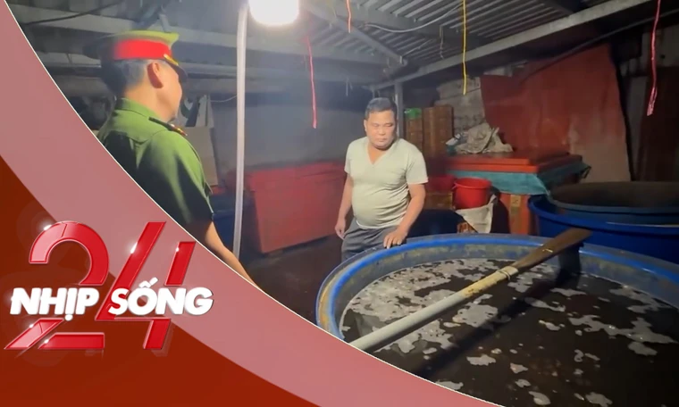 NHỊP SỐNG 24: Bên trong đường dây dùng 500 tấn 'thủy tinh lỏng' ngâm 3.000 tấn thịt ốc bươu