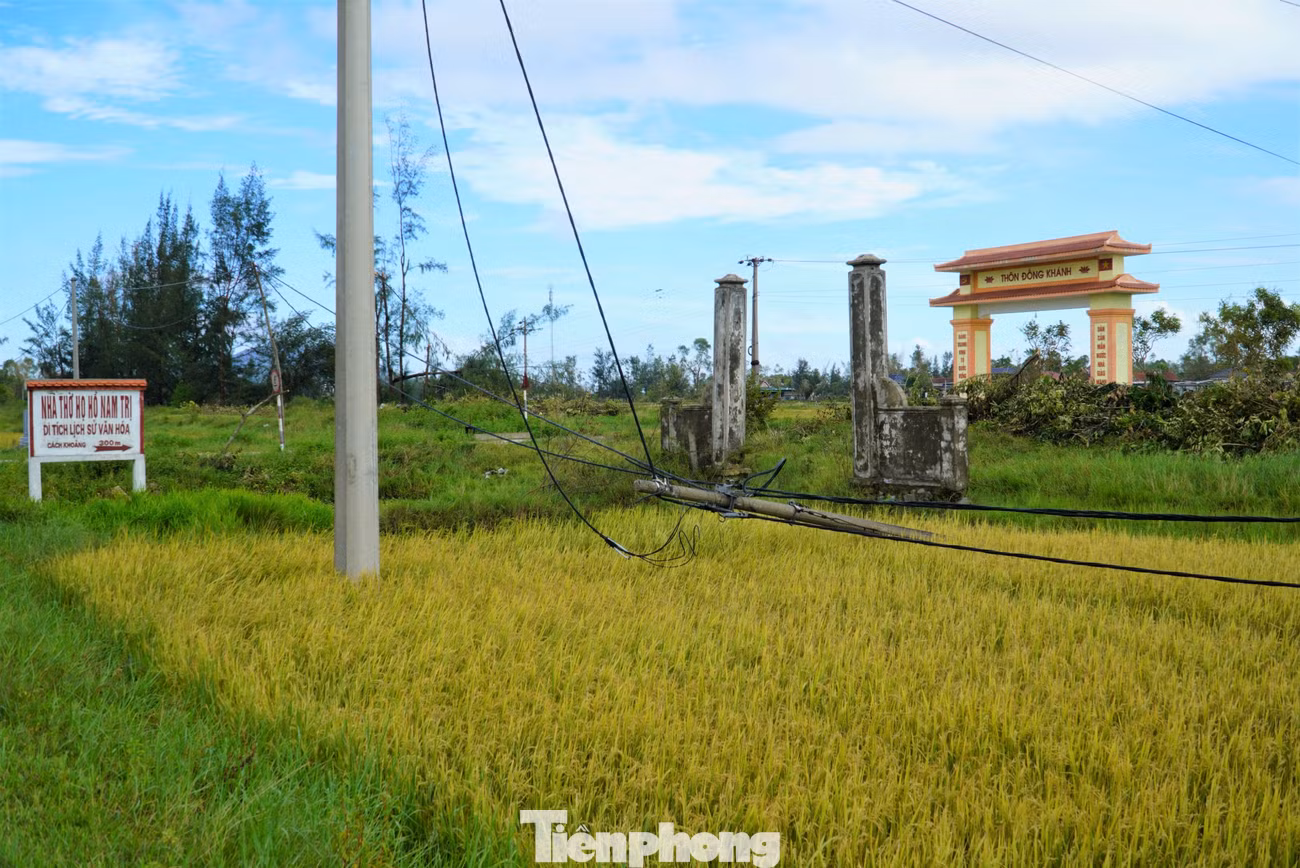 tp-anh-khss.jpg