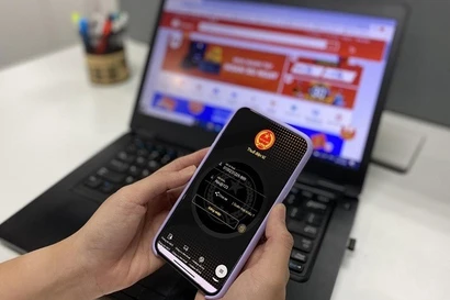 Tối nay, tạm dừng hệ thống thuế điện tử
