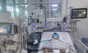 Bé trai 4 tuổi trong vụ nhóm trẻ bị đàn ong vò vẽ đốt thoát chết thần kỳ