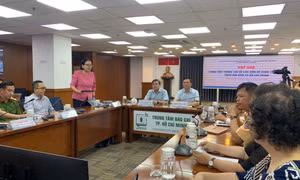 TPHCM chuyển đổi số toàn diện, thúc đẩy 'bình dân học vụ số'