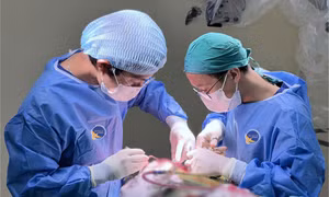 Tưởng con bị căng thẳng học tập, cha mẹ bàng hoàng khi nam sinh mắc bệnh nguy hiểm