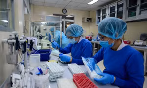 TPHCM lấy mẫu tầm soát virus Nipah trên bệnh nhân viêm não
