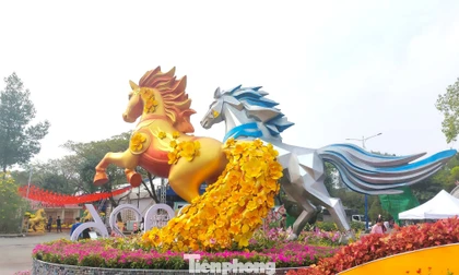 Song mã gây ấn tượng tại Đường hoa – Đường sách TPHCM khu vực Bình Dương