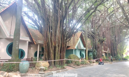 Cận cảnh hàng chục căn villa khu resort ở TPHCM bị phong tỏa vì nứt tường, sập trần