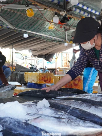 27 Tết: Cá thu giá 'chát' vẫn bán vèo vèo