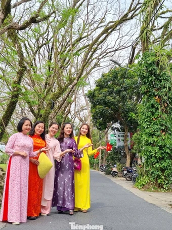 Du khách đổ về ngôi làng có hàng sưa cổ