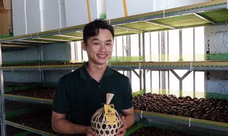 Nuôi con siêu đẻ, 9X kiếm gần 200 triệu đồng/tháng