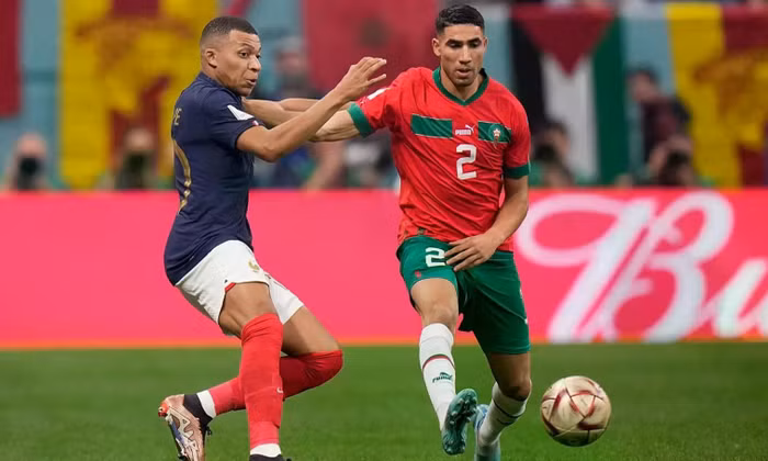 TP NOW: Mèo tiên tri và siêu máy tính cùng dự đoán kết quả đại chiến Pháp - Morocco