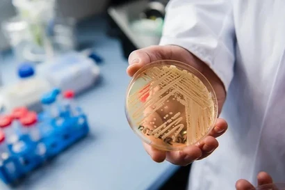 'Siêu vi khuẩn' gây chết người và kháng thuốc đang lan rộng