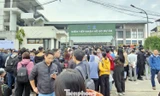 Công nhân xếp hàng xuyên đêm tìm giấc mơ 'an cư lạc nghiệp'