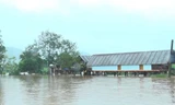 Lũ đặc biệt lớn ở Đắk Lắk, Gia Lai, Thủ tướng yêu cầu sơ tán dân đến nơi an toàn