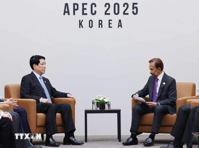 apec-32-chu-tich-nuoc-luong-cuong-gap-quoc-vuong-brunei-8377802-4.jpg