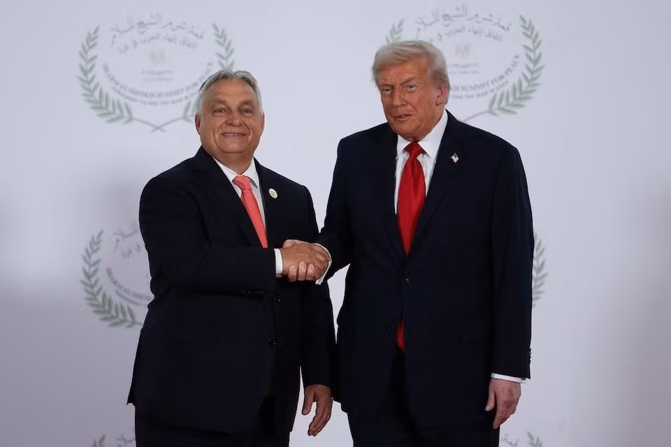 odymo4b5gfj6rmc4vcbgiognde.jpg