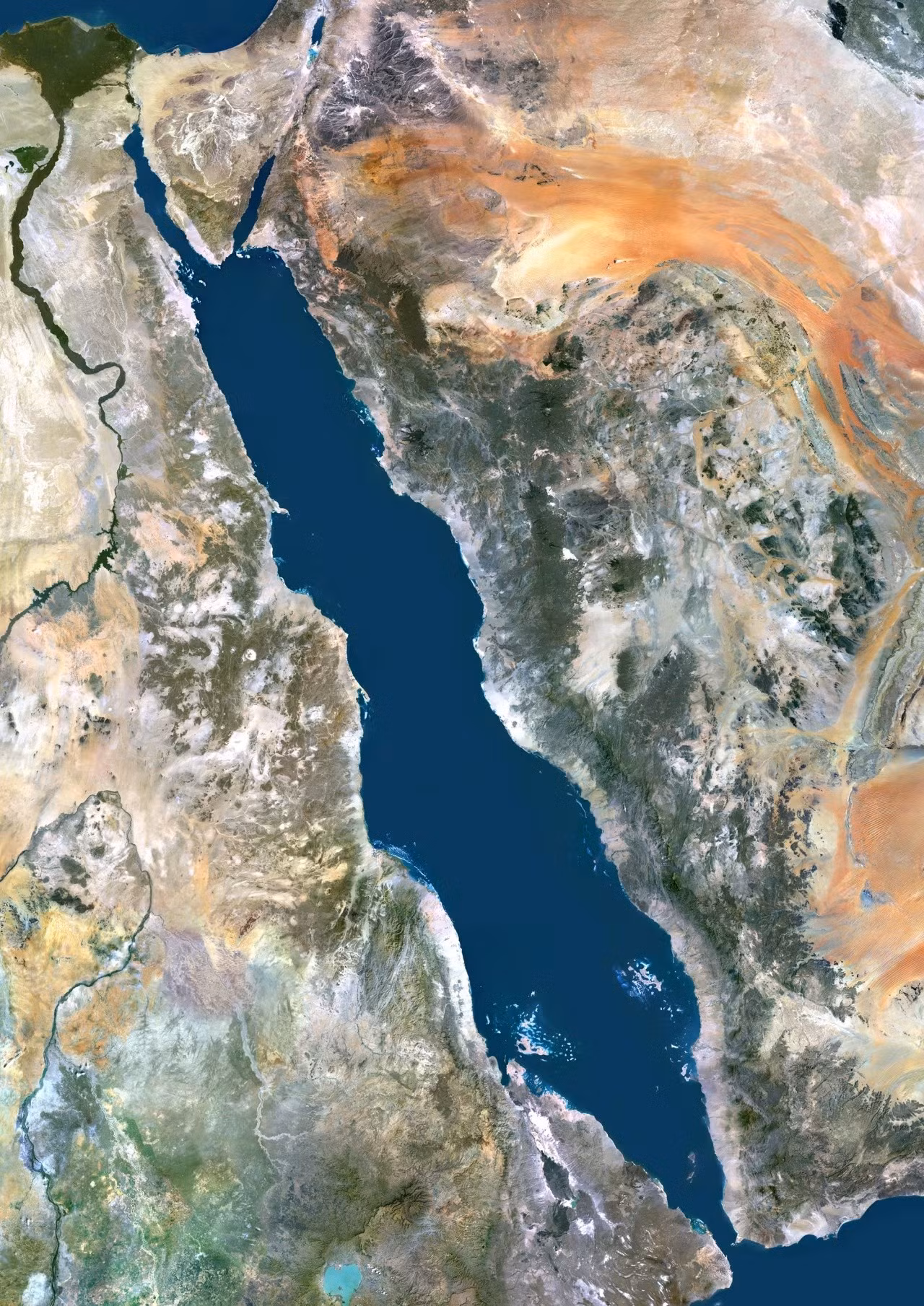 image-1773667447391.jpg