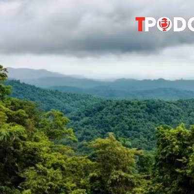 NÓNG 16/8: Du khách mất tích bí ẩn trong rừng ở Ninh Bình