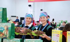 Hai chị em thoát nghèo từ chiếc điện thoại 900 nghìn đồng