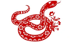 Tử vi tuổi Tỵ năm 2026: Thời điểm vàng giúp tài lộc tăng tiến