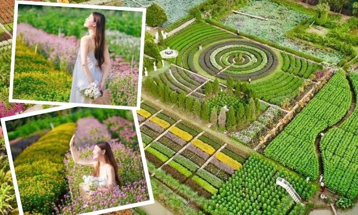Vườn Hoa Mãn Đình Hồng: Điểm Check-in Rực Rỡ Cho Giới Trẻ Miền Tây Dịp Tết 2026