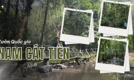 Loạt tọa độ sống ảo "đỉnh chóp" ở Vườn Quốc gia Nam Cát Tiên khiến teen mê mẩn