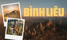 Vi vu "Sapa thu nhỏ": Đắm say vẻ đẹp hùng vĩ và nên thơ của núi rừng Bình Liêu