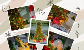 Check-in không khí Giáng sinh ở TP.HCM: Các trường đại học rực rỡ mùa lễ hội