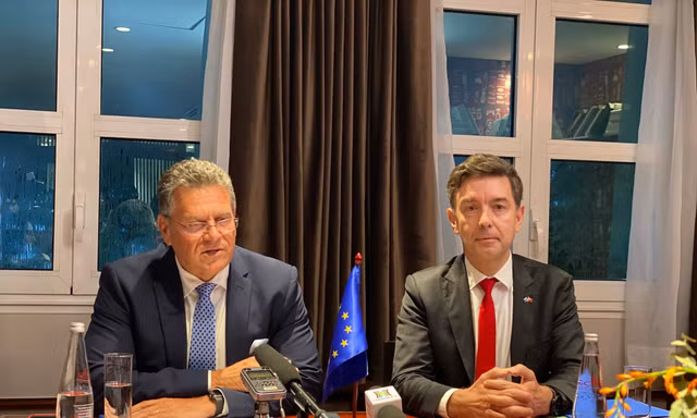 EU muốn thúc đẩy thực thi Hiệp định Thương mại tự do với Việt Nam 