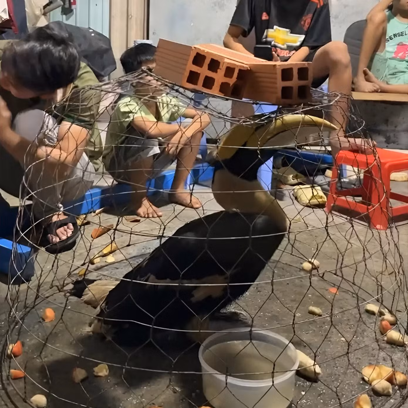 604550557-1458098832344649-12274662301186548-n.jpg