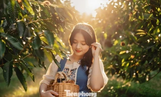 Khai mạc hạt dẻ 2025- mùa no ấm của người dân xứ Lạng. 