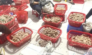 Phát hiện hàng tấn chân gà nghi nhập lậu từ bên kia biên giới. 