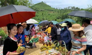 Trải nghiệm, thưởng thức hạt dẻ Quảng Lạc, tỉnh Lạng Sơn.