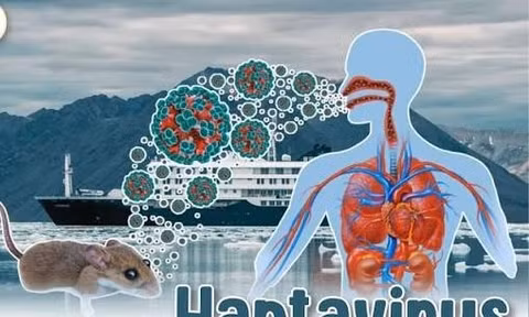 Bộ Y tế lên tiếng về dịch bệnh do virus Hanta