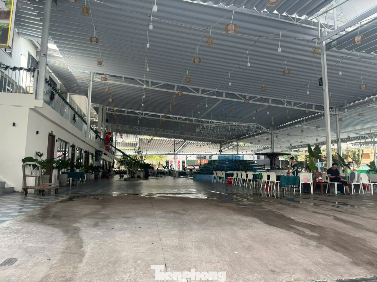Đề xuất biến 9 khu 'đất vàng' ở TPHCM thành vườn hoa trong dịp Tết Bính Ngọ