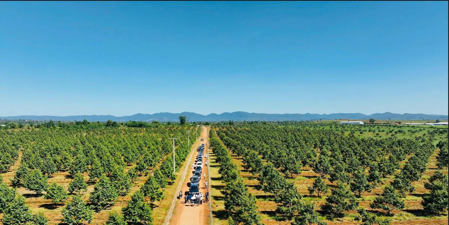 Bầu Đức nói về lúc đứng trước bờ vực phá sản