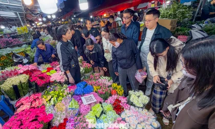 Giá hoa tăng nhẹ dịp 8/3, tiểu thương 'chốt đơn' xuyên đêm