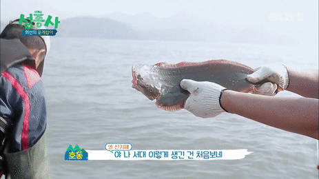 Hóa ra người nổi tiếng cũng sở hữu những nỗi sợ kỳ quặc chẳng dám nói ra ảnh 2