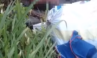 Tìm người thân của nạn nhân lõa thể gần trạm thu phí cầu Phú Mỹ