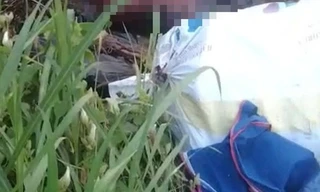 Tìm người thân của nạn nhân lõa thể gần trạm thu phí cầu Phú Mỹ